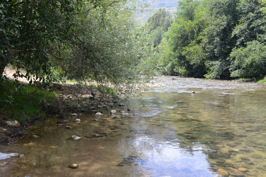 Enhance Conservation of the Unique Biodiversity in the Bisri River Basin