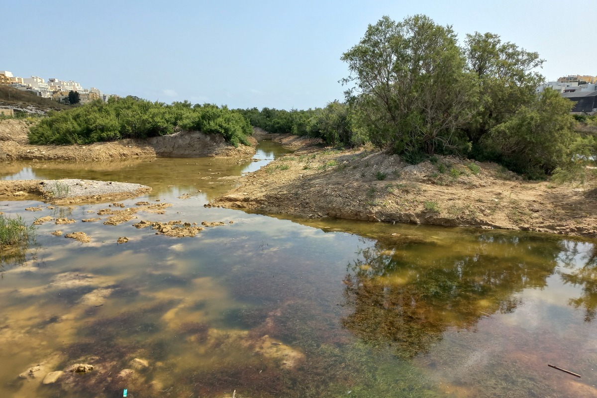 DIMFE story: Restaurer les zones humides disparues de Malte : la renaissance du parc naturel de Salina
