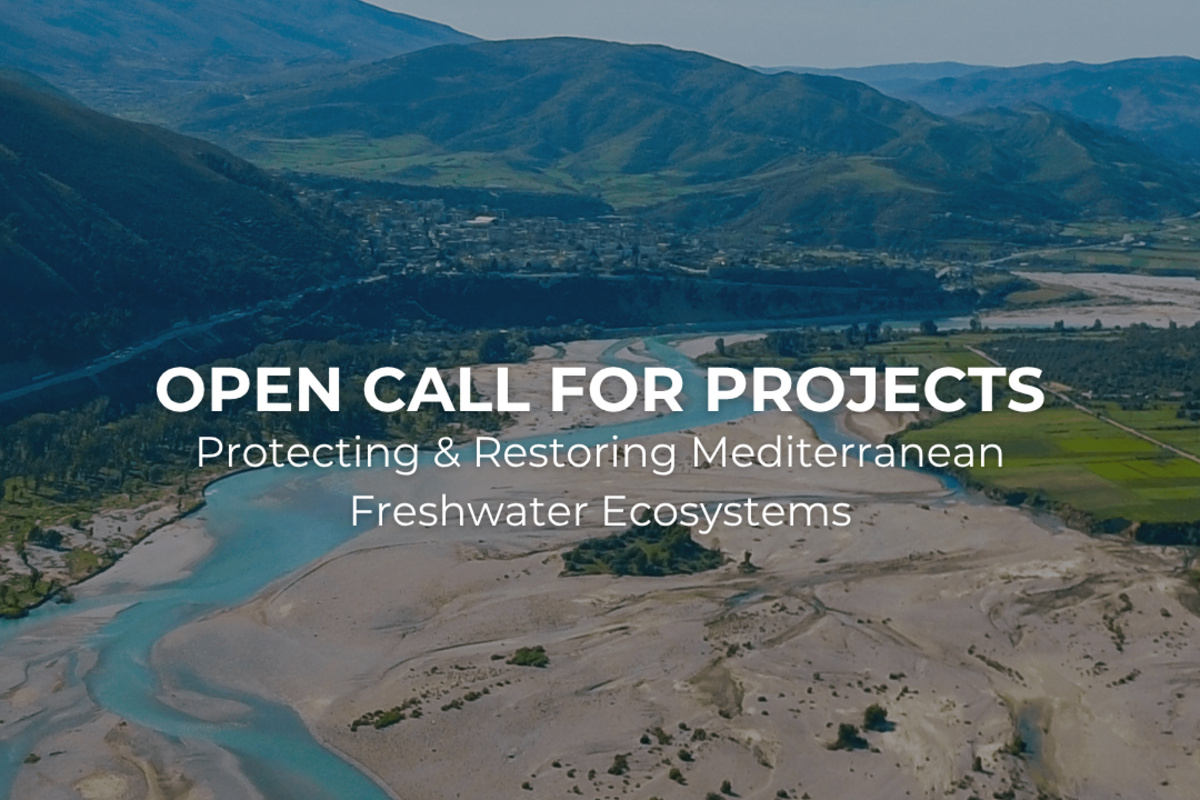 Launch of the 2025 Call for Projects