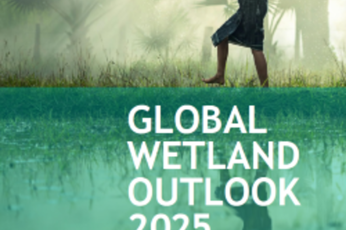 Global Wetland Outlook 2025: Les zones humides à la croisée des chemins