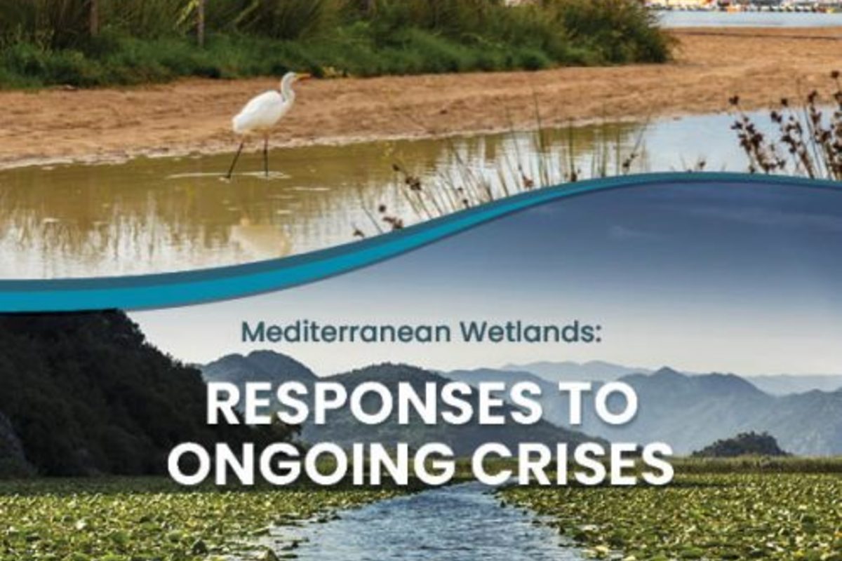 Des réponses face aux crises : la troisième édition du Mediterranean Wetlands Outlook est publiée !