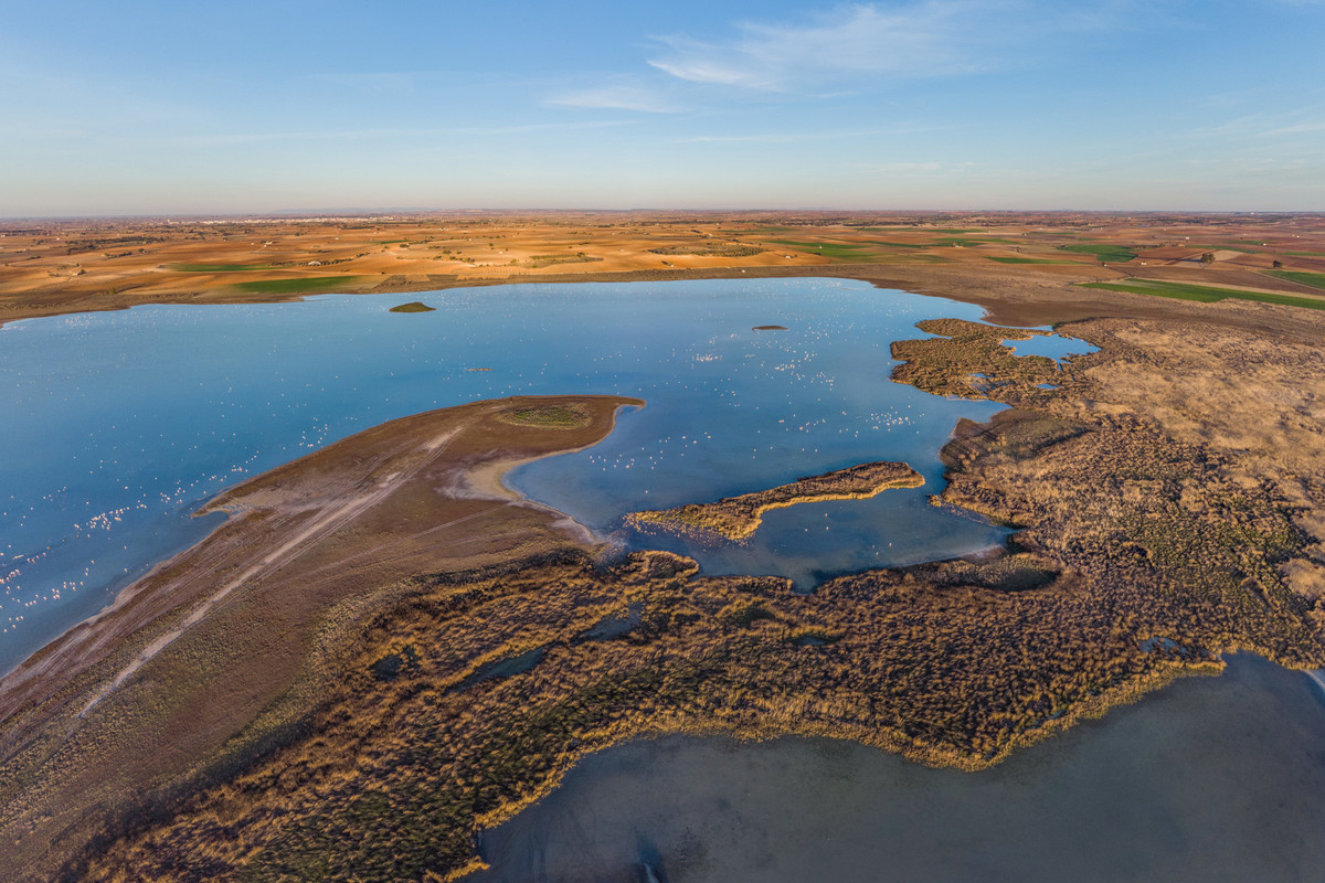 Aidez à mettre les zones humides en lumière : votez pour LIFE Wetlands4Climate