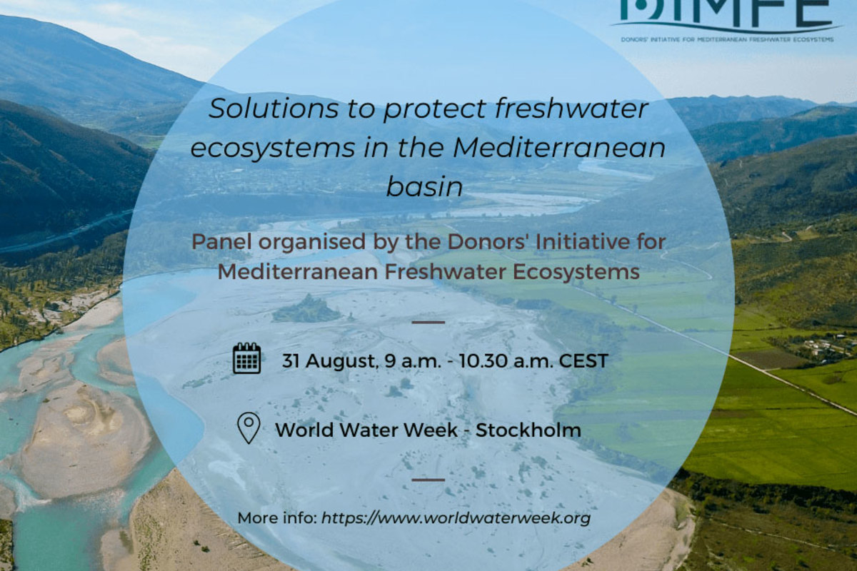 DIMFE will be hosting a panel at the 2022 World Water Week, in Stockholm