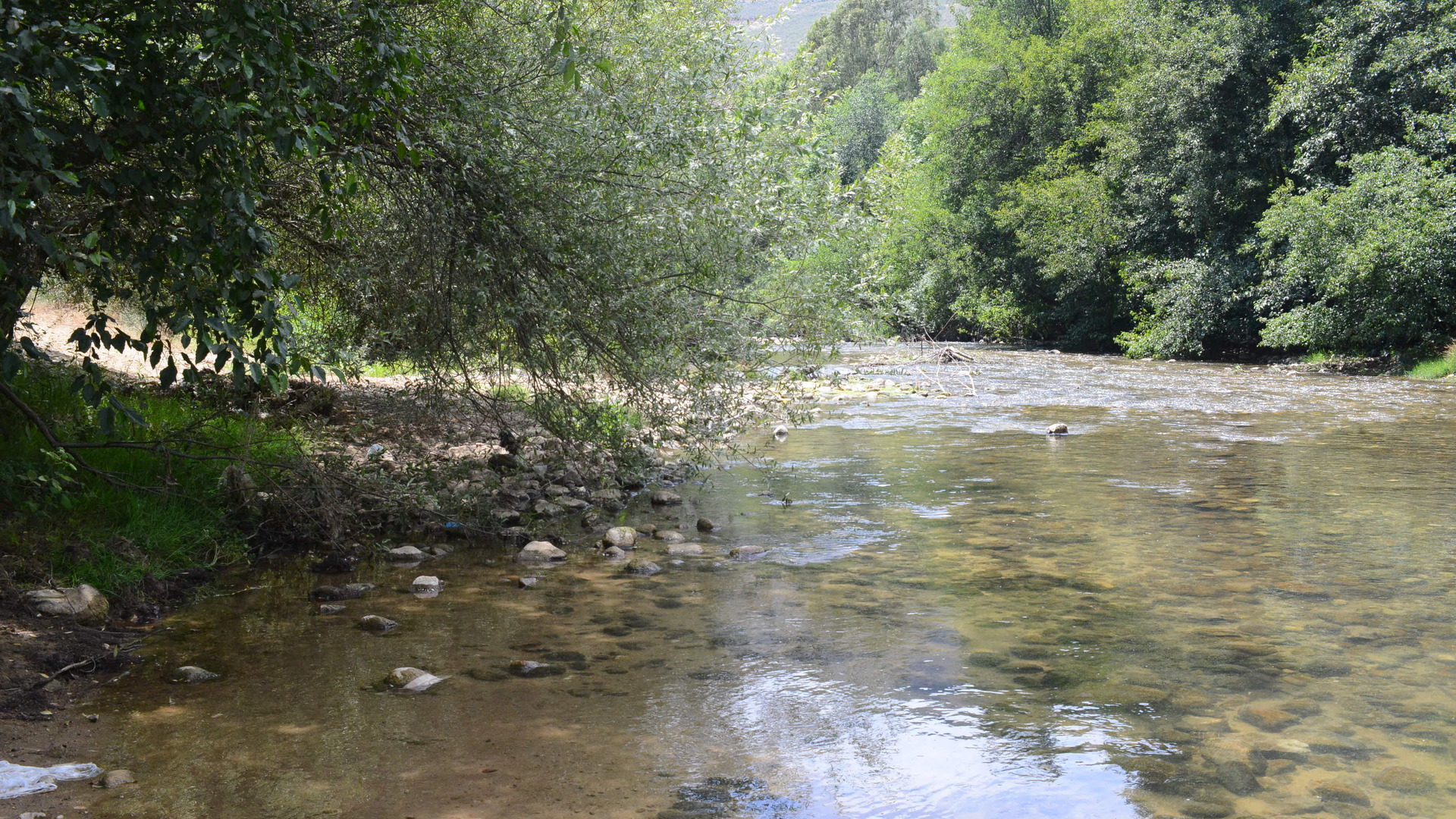 Améliorer la conservation de la biodiversité unique dans le bassin de la rivière Bisri