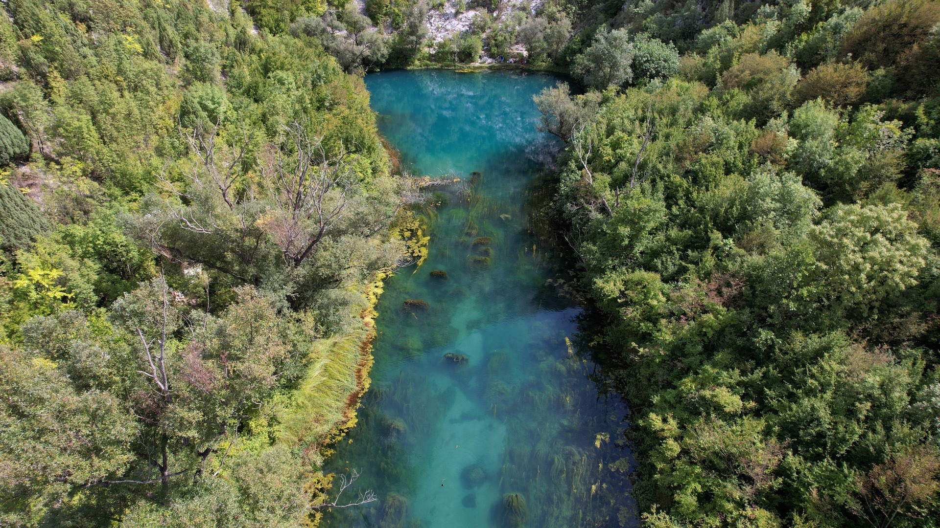 Assessing Status of Fungi Inhabiting Neretva River as an Important Step Towards Identifying Top Priority Freshwater Sites in Bosnia and Herzegovina