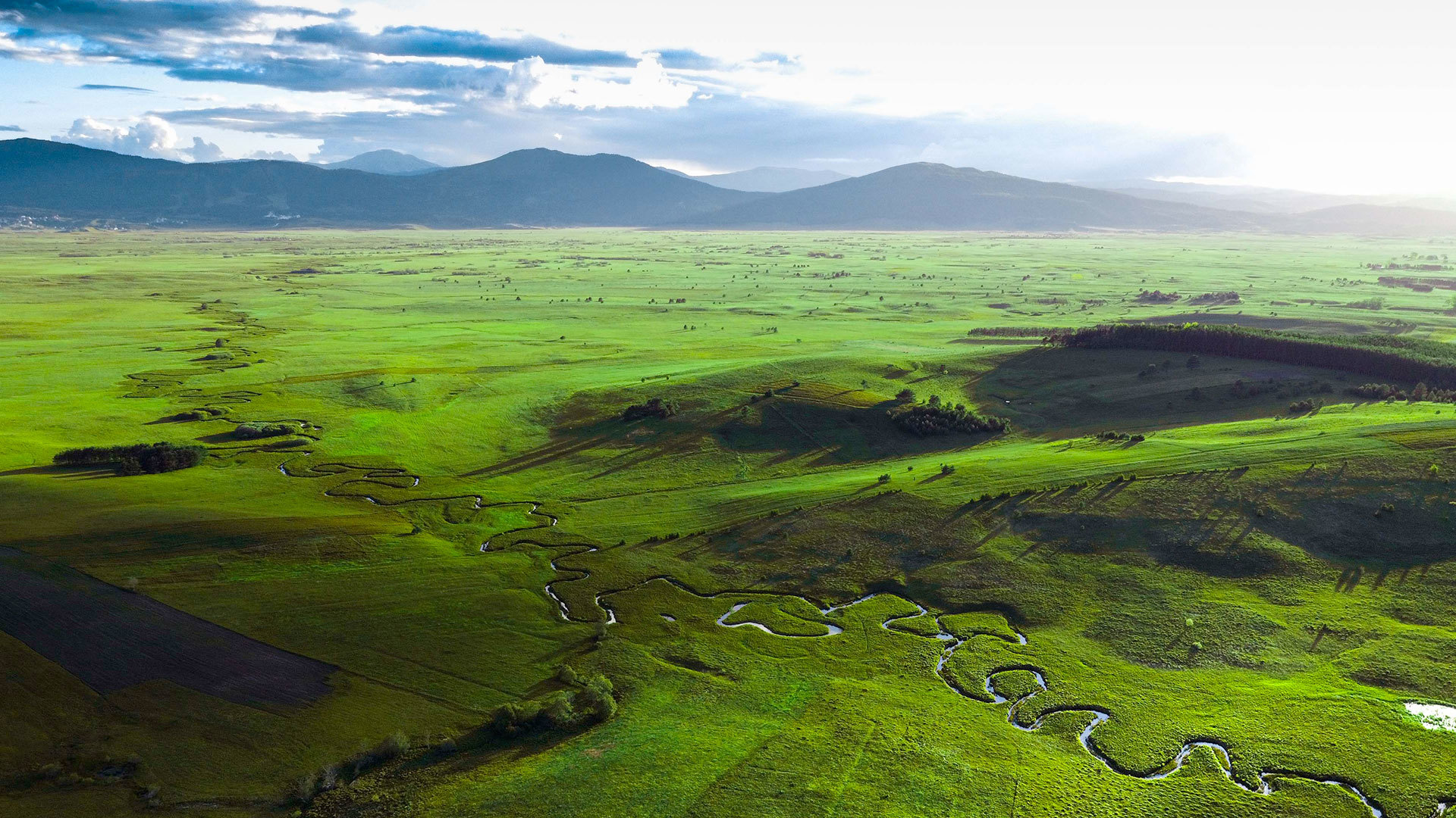 Sustainable Future for the freshwater ecosystem Livanjsko polje in Bosnia and Herzegovina