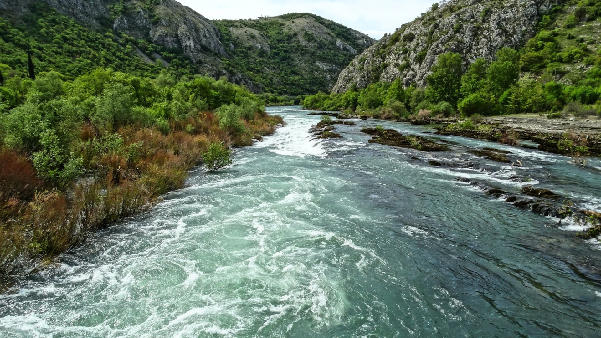 Support the conservation of endemic fish species in the Neretva River