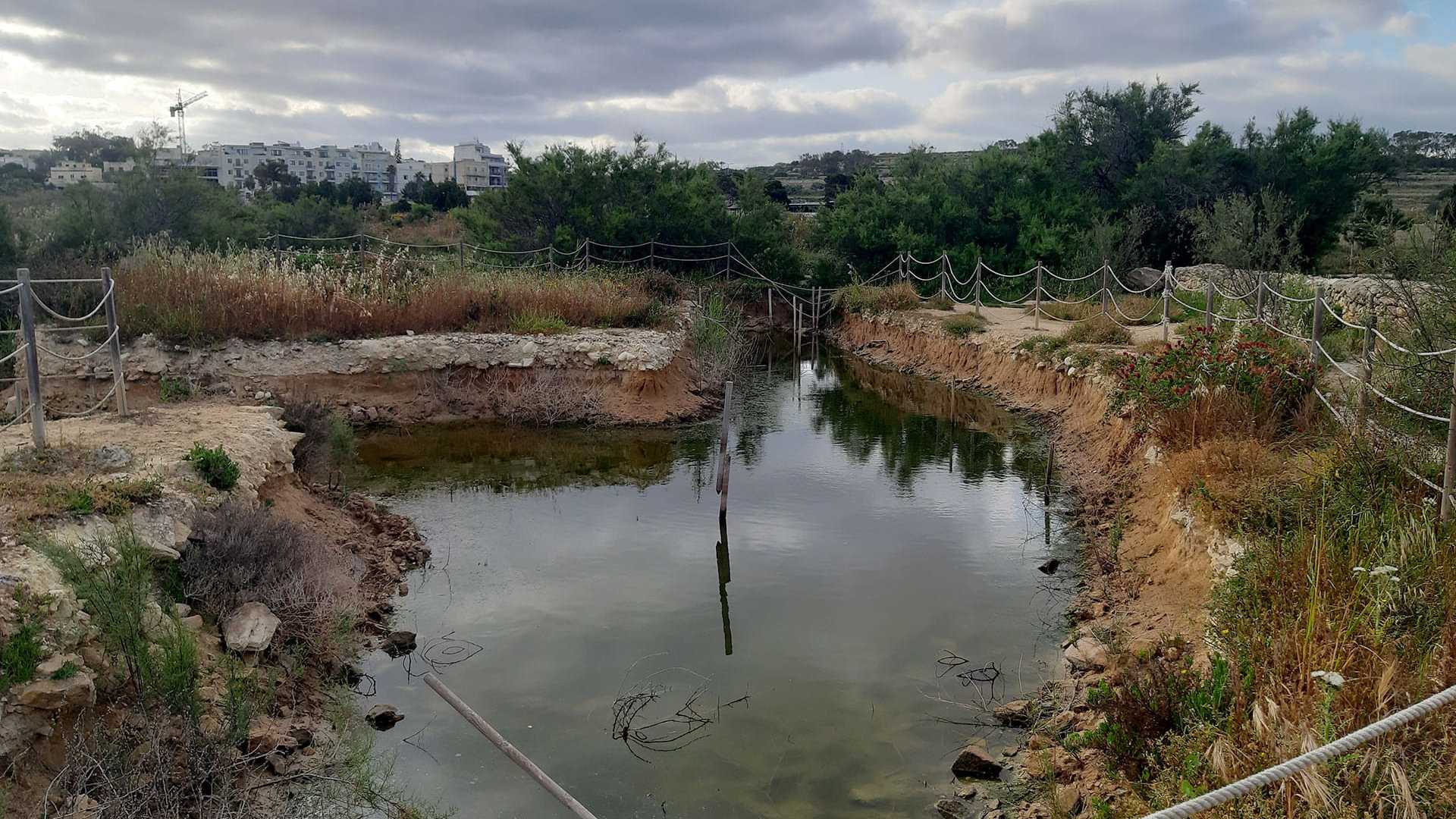 Restauration de la zone humide de Salina afin de créer des habitats d'eau douce et saumâtre.