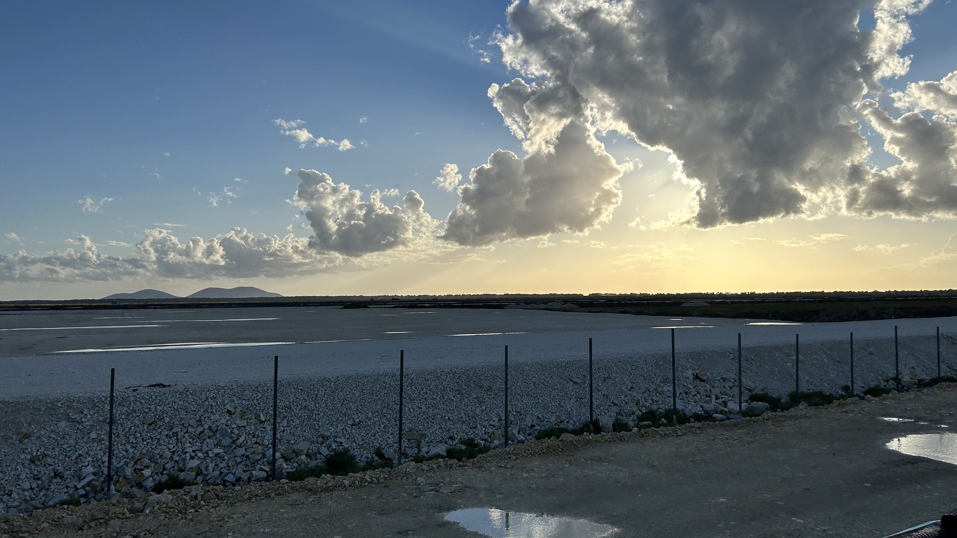 Free Deltas: Preserving the Vjosa and Shkumbini Deltas Against Massive Urbanisation