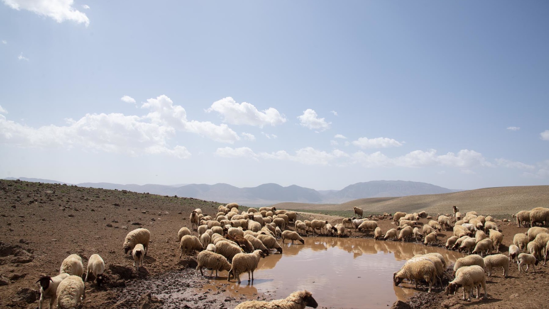 Upscale Sebou Water Fund