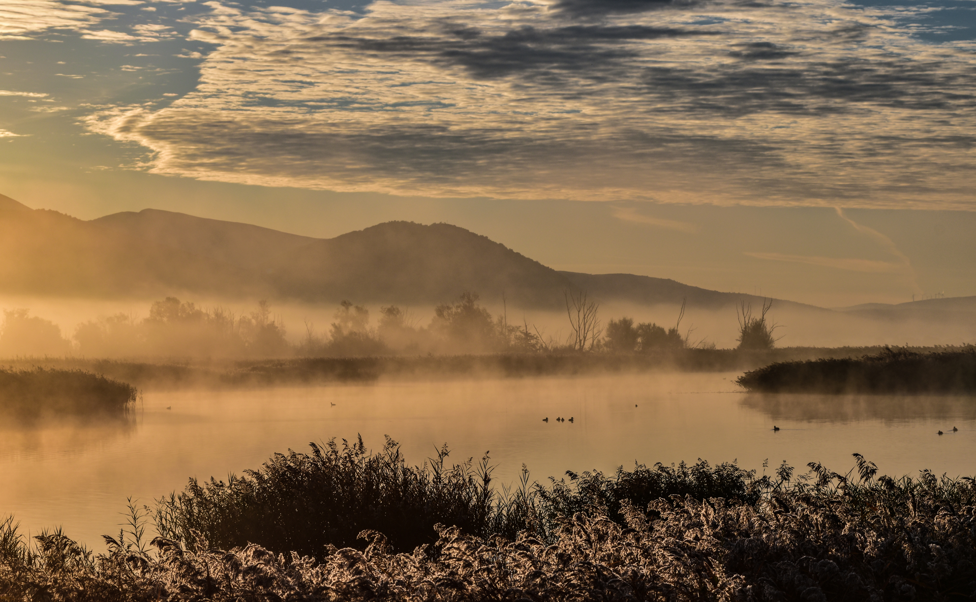 Donors’ Initiative for Mediterranean Freshwater Ecosystems