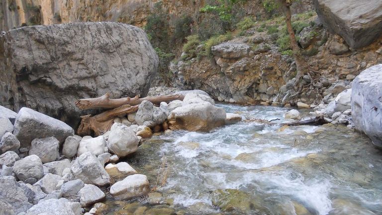 Méditerranée RESiliente dans les Cours d'Eau Éphémères Insulaires (Med-RESET)