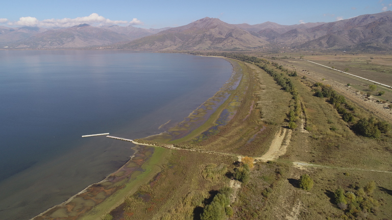 Évaluation du statut de la population de l'écrevisse mondialement menacée dans les lacs de Prespa, Ohrid et les rivières du parc national Shebenik-Jabllanice, en Albanie