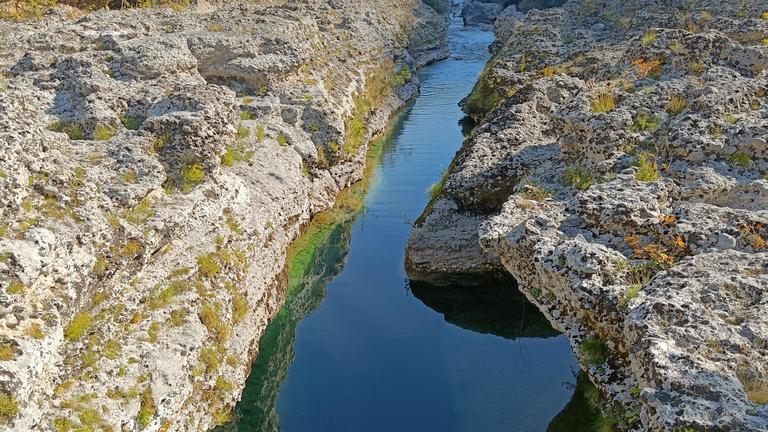 Restauration et conservation des poissons endémiques en danger critique du bassin moyen et supérieur du Tensift, zone-clé de biodiversité au Maroc.