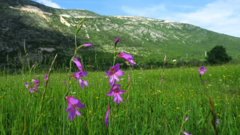 Améliorer la base de connaissances sur les champs karstiques de Dabarsko et Fatničko ainsi que sur les systèmes d'eau souterraine, et réduire les menaces liées à une utilisation non durable de l'eau en Bosnie-Herzégovine