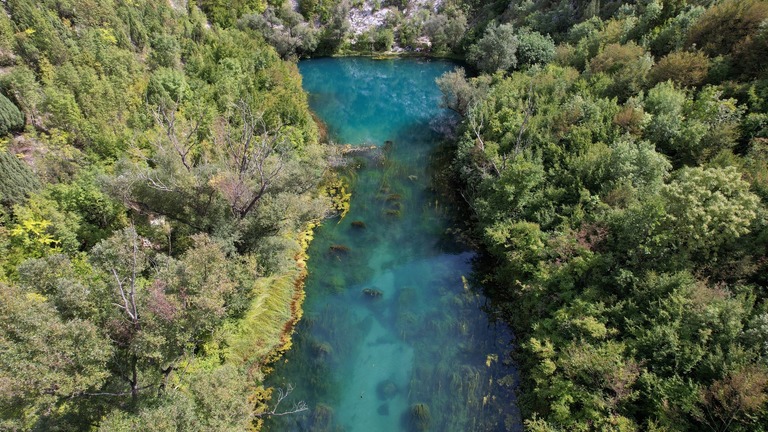 Assessing Status of Fungi Inhabiting Neretva River as an Important Step Towards Identifying Top Priority Freshwater Sites in Bosnia and Herzegovina