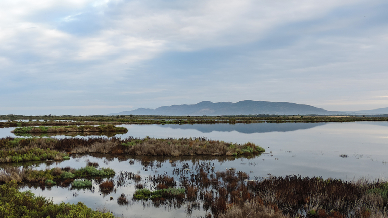 Integrated Management of Freshwater Resources in the Soliman Wetland – GIReauSOL, Tunisia