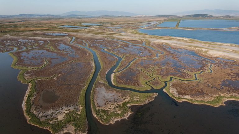 Sustainable Life for the Freshwater Ecosystem of the Gediz Delta