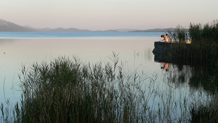 Restoring Wetlands: A Pathway to Biodiversity and Ecosystem Resilience