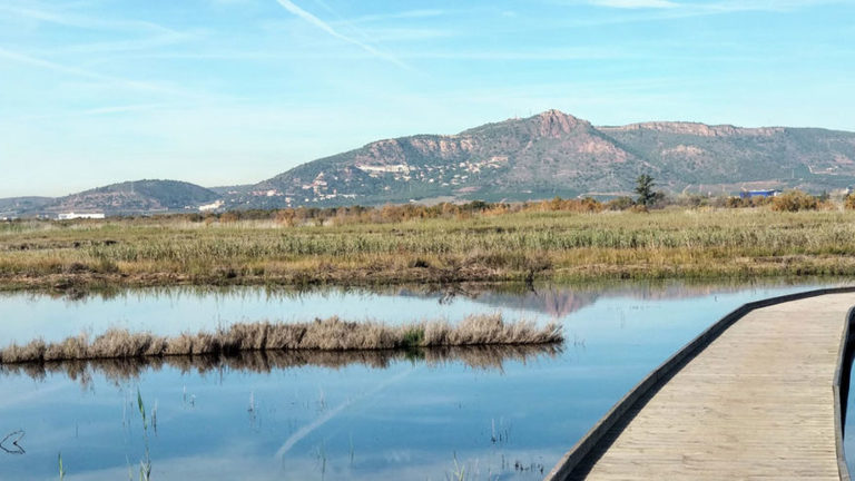 Restoration and Mitigation of Climate Change in the Marjal dels Moros