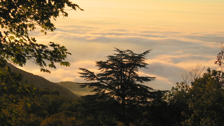 Integrated Conservation and Restoration of Biodiversity and Freshwater Ecosystems in Horsh Ehden Nature Reserve
