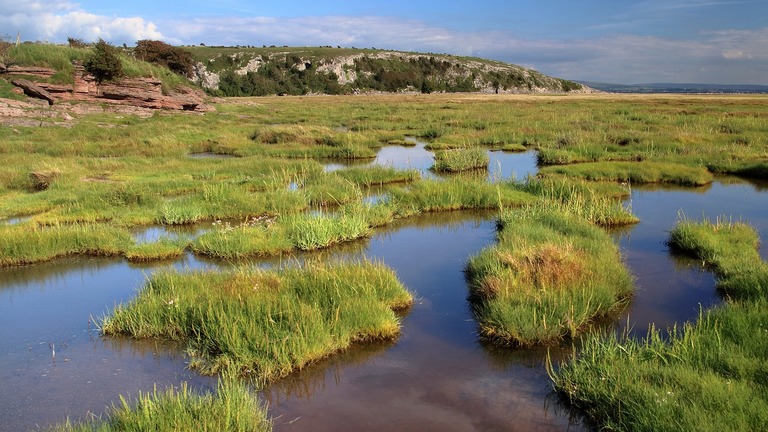 Assurer l'eau pour tous grâce à des solutions basées sur la nature dans le marais de Balıkdamı.