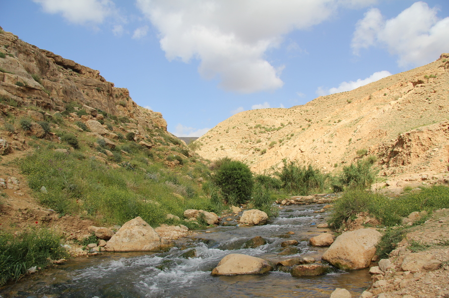 Science-Based Conservation of Wetlands in Two Key Biodiversity Areas in the State of Palestine