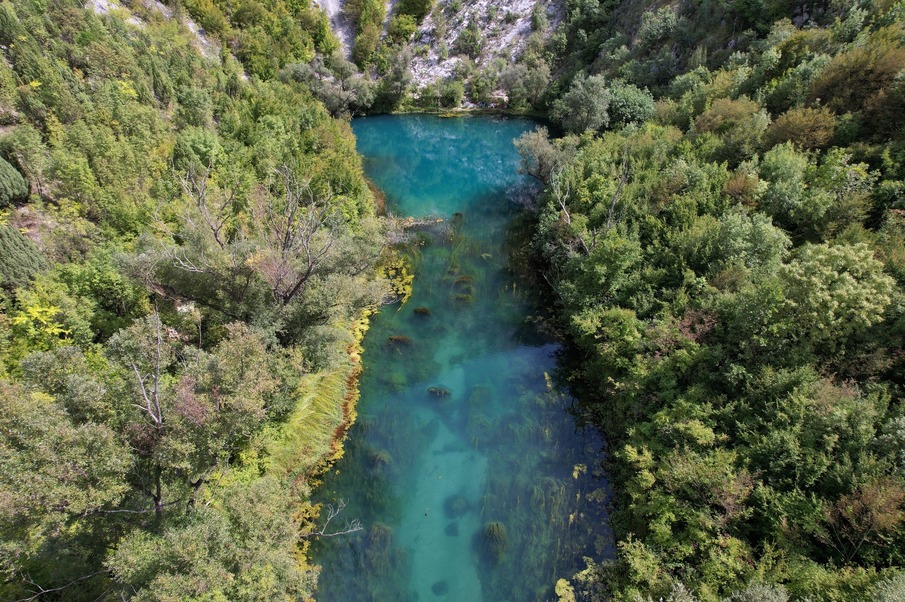 Évaluer le statut des champignons habitant la rivière Neretva comme étape importante vers l'identification des sites d'eau douce de haute priorité en Bosnie-Herzégovine