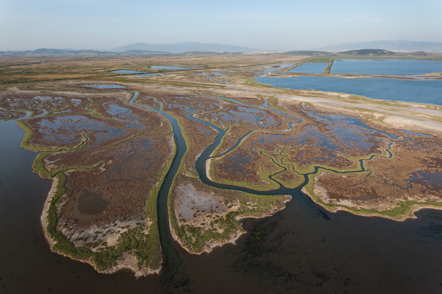 Vie durable pour l'écosystème d'eau douce du delta de Gediz