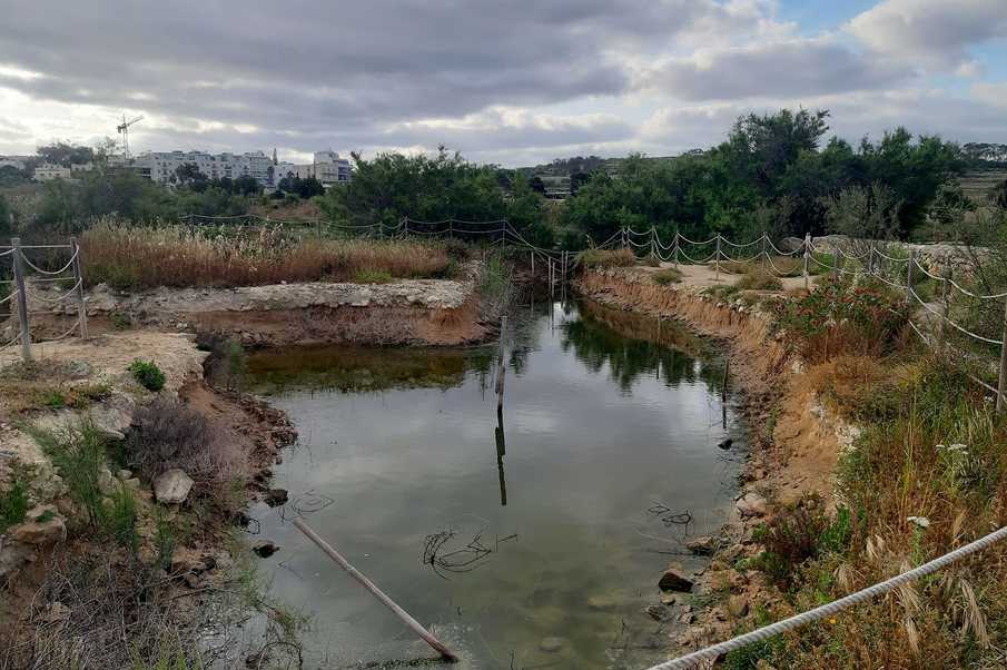 Restoration of the Salina wetland in order to create freshwater and brackish habitats