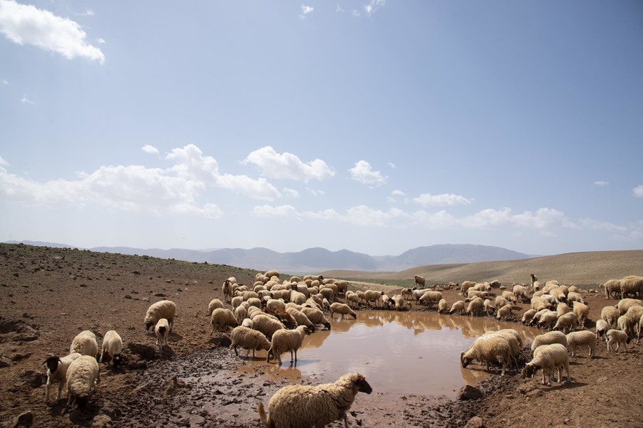 Upscale Sebou Water Fund