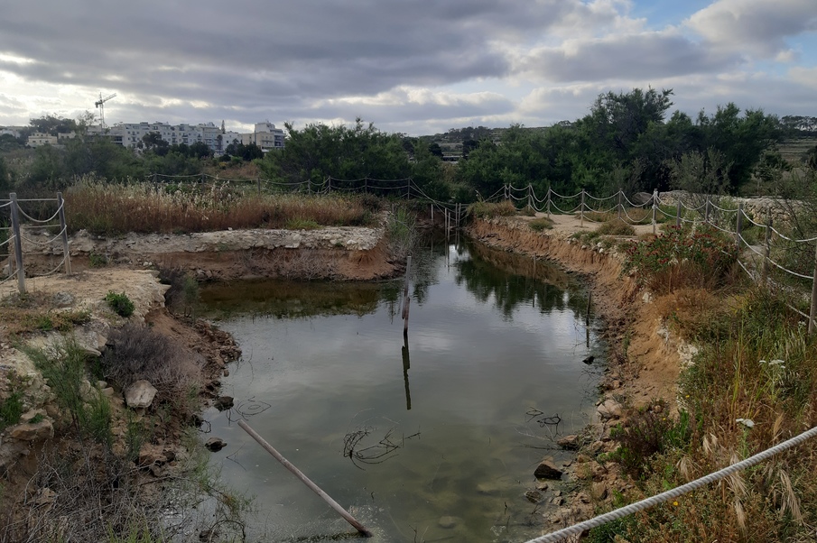 Balkan Rivers: Advocacy for Conservation of Ecosystems (BRACE)